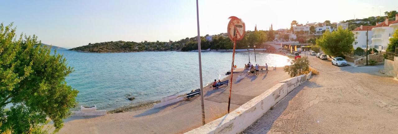 ξένιος ζευς ηλιακτής. χώρος χαλάρωσης & ξεκούρασης * Agios Georgios (Salamina)